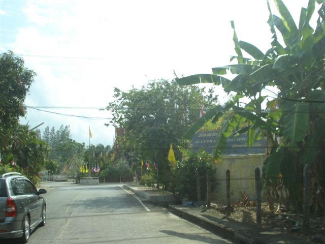 DSC02256 (Small).JPG